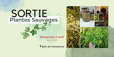 Imagem principal de Sortie découverte des plantes sauvages