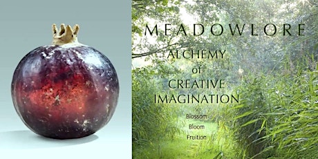 MEADOW - FRUITION