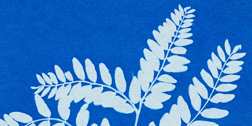 Creative Class: Botanical Sunprints primary image