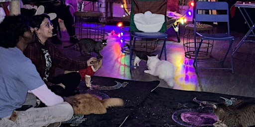 Imagem principal do evento Movies at the Cat Cafe Rescue "Shrek"