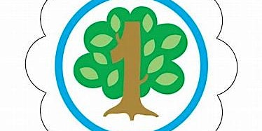 Primaire afbeelding van Girl Scouts Math in Nature Badge Series