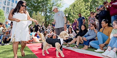 Hauptbild für Midtown Mutt  Gala 2024