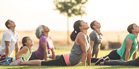 Yoga in the Park