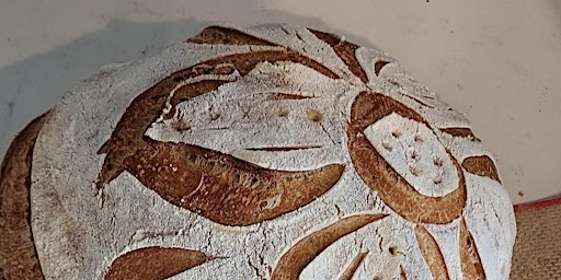 Primaire afbeelding van Sourdough Start Up