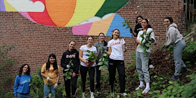 Jacob Hiatt School Garden Volunteer Day! primary image