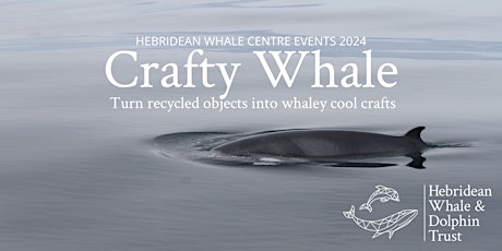 Crafty Whale