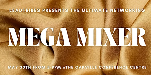 Imagen principal de Mega Mixer 2024