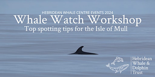 Hauptbild für Whale Watch Workshop