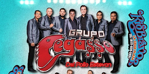 Hauptbild für Grupo Pegasso