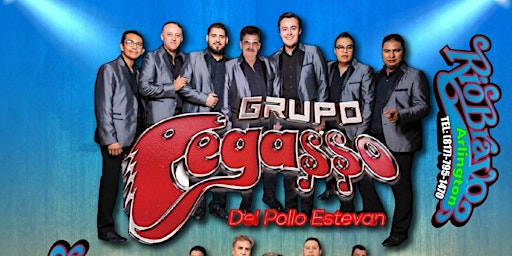 Grupo Pegasso primary image