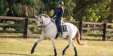 PRANCING  WITH THE STARS  OF DRESSAGE