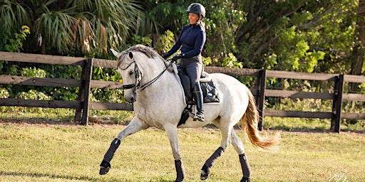 PRANCING  WITH THE STARS  OF DRESSAGE primary image