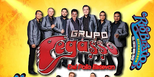 Hauptbild für Grupo Pegasso