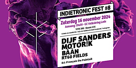 Primaire afbeelding van INDIETRONIC fest #8