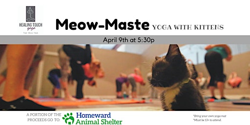 Imagem principal do evento Meow-maste, Yoga with Kittens