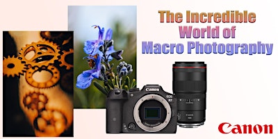 Imagen principal de The Incredible World of Macro Photography with Canon - Pasadena