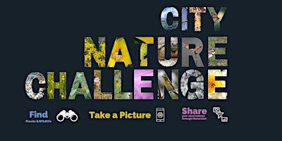 Hauptbild für City Nature Challenge at Lantana Scrub Natural Area