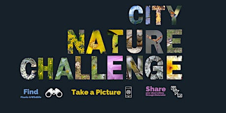 City Nature Challenge at Lantana Scrub Natural Area
