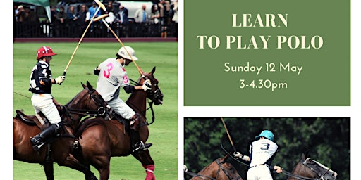 Learn to Play Polo with a Professional Polo Player primary image