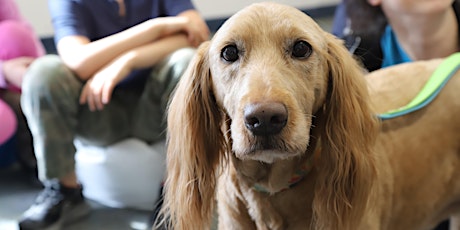 Humane Society Storytime