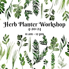 Herb Plant Workshop