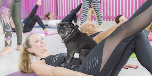 Imagem principal do evento Members Only - Pilates & Pups