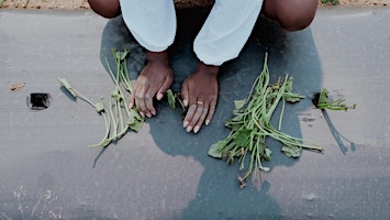 Immagine principale di Making Natural Cleaning Products 