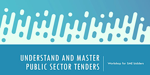 Imagen principal de Understand and master public sector tenders - workshop for SMEs