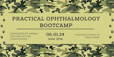 Primaire afbeelding van Practical Ophthalmology Boot Camp- Second Chance