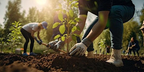 Ward 11 Community Tree Planting