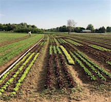 Primaire afbeelding van Cool Boulder Partner Network - Masa Seed Foundation Volunteer Day 4/6