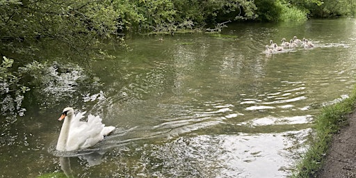 Imagen principal de Alresford Heritage Walk