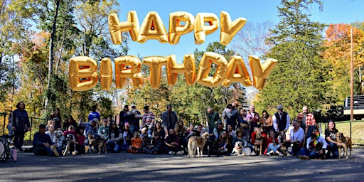 Imagem principal do evento Sochi Dogs' 10th Birthday Bash!