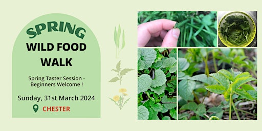 Imagem principal de Wild Food Walk - Spring Taster Session