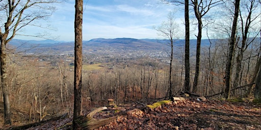 Imagem principal do evento Mt. Anthony Trail Hike (Old Bennington, VT)