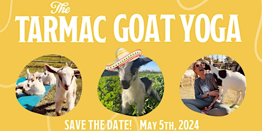 Imagem principal do evento Fiesta Goat Yoga - The Tarmac Event Venue