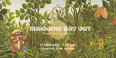 Imagem principal de Shrooms Day Out - Psilocybe Experience