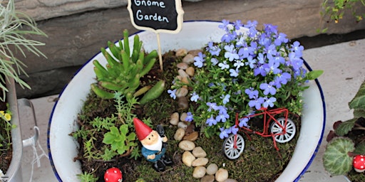 Create a Fairy Garden  primärbild