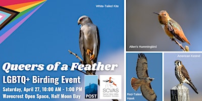 Imagem principal de Queers of a Feather (LGBTQ+ Birding Event)