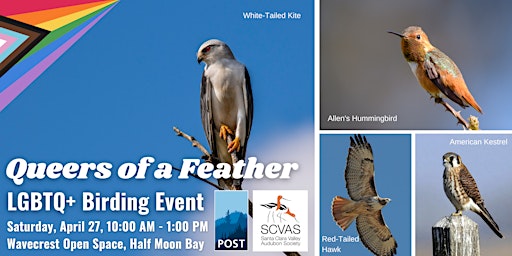 Imagem principal do evento Queers of a Feather (LGBTQ+ Birding Event)