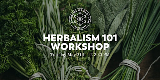 Imagen principal de Herbalism Workshop