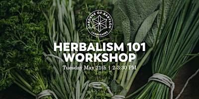 Imagen principal de Herbalism Workshop