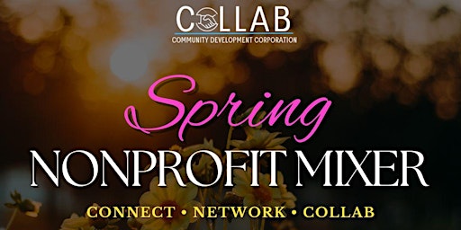 Primaire afbeelding van The Nonprofit Spring Mixer