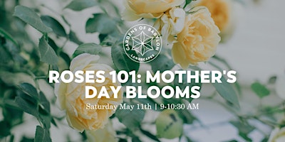 Imagen principal de Roses 101: Mother's Day Blooms