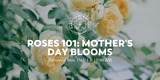 Roses 101: Mother's Day Blooms primary image