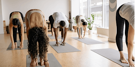 Saturday Morning Slow Flow Yoga with Sam