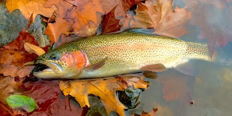 Catskill Mountains Trout Unlimited Conservation Banquet 2019 primary image