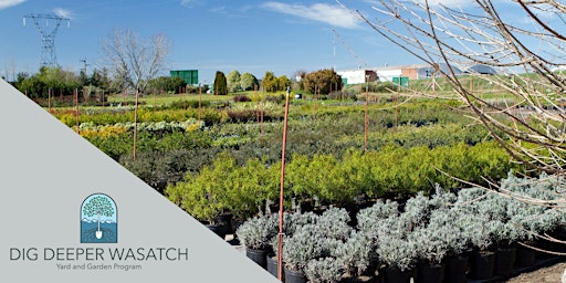 Dig Deeper Wasatch: Radiant and Resilient Landscape Plants - Core Class