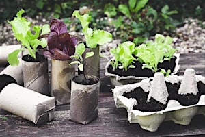 Immagine principale di Home Harvest - Thrifty Gardening with My Green Garden 