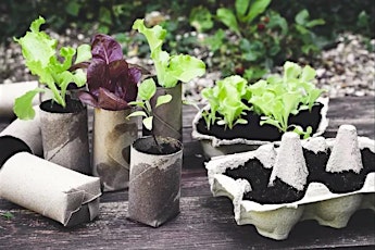 Image principale de Home Harvest - Thrifty Gardening with My Green Garden